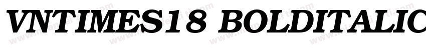 VnTimes18 BoldItalic字体转换